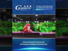 Prodotto noleggiato -- Prova del prodotto della serie K 2