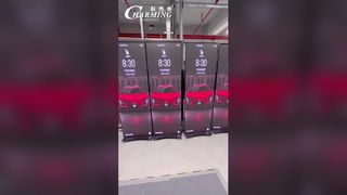 Schermo LED pieghevole per poster 6