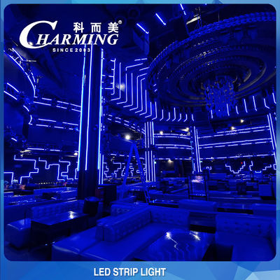 Multiscena flessibile LED RGB Corda luminosa Lunghezza striscia 500 cm Controllo SPI