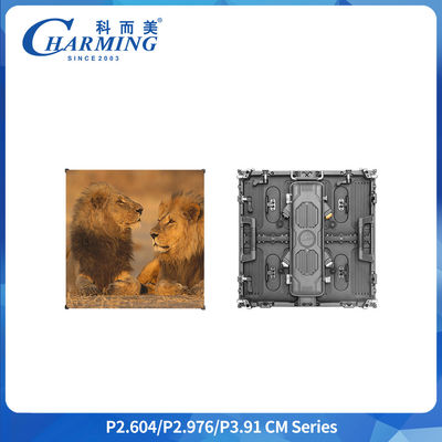 P3.91 Display LED IP65 resistente all'acqua all'aperto da 500x1000 mm