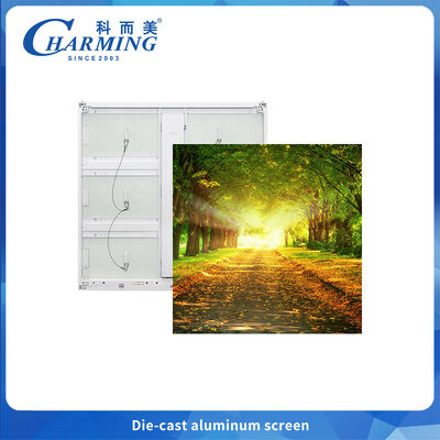 P6.66 Display LED per esterni ad alta luminosità e grado di impermeabilità IP65 Prestazioni affidabili per ambienti esigenti