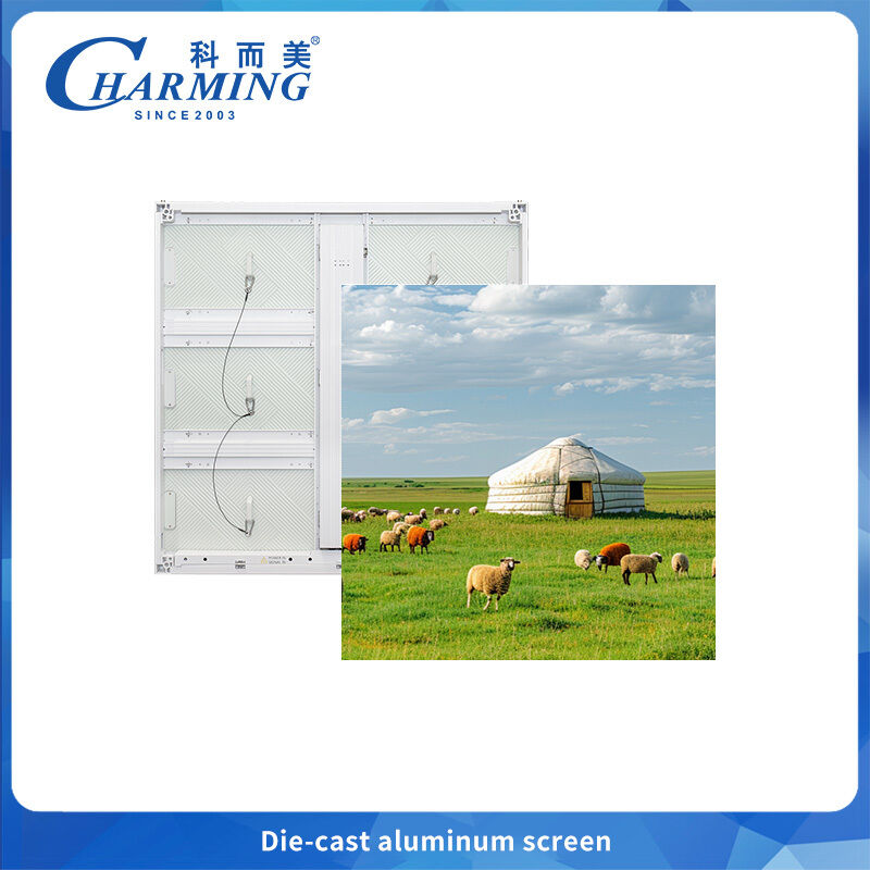 schermo all'aperto in alluminio P6.66 LED - IP65 resistente al sale alta dissipazione del calore facile installazione