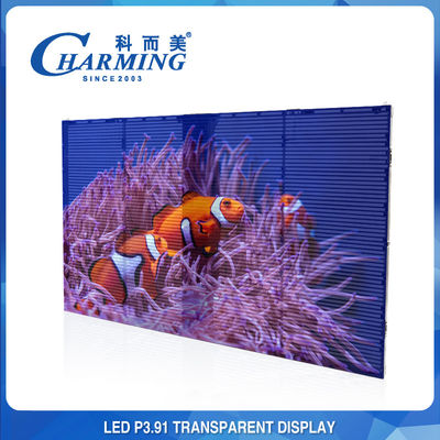 Parte anteriore antipolvere IP65/Back IP42 LED della video parete trasparente di P3.91